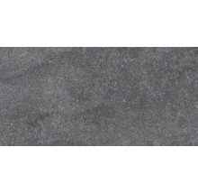 Wand- und Bodenfliese Udine Schwarz unglasiert 30 x 60 cm