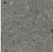 Feinsteinzeug Terrassenplatte Donau grau glasiert matt 60 x 60 x 2 cm
