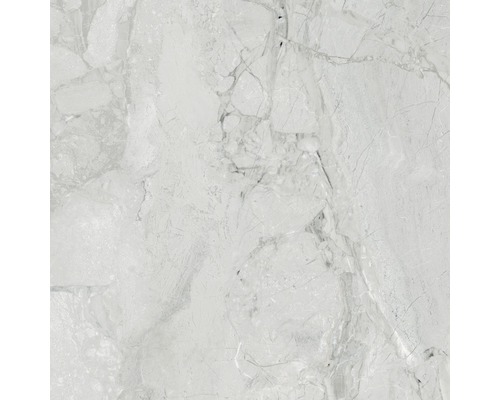 Feinsteinzeug Wand- und Bodenfliese Sicilia Cenere poliert grau 60 x 60 cm