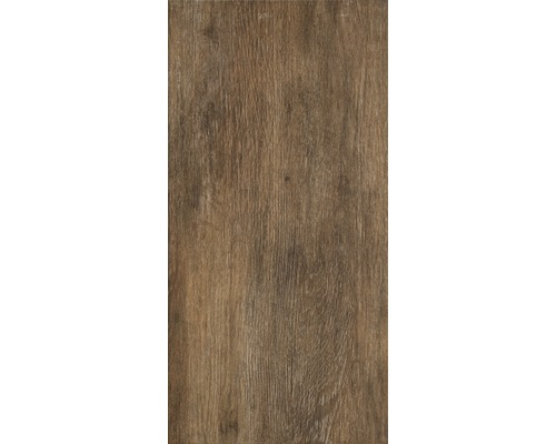 Feinsteinzeug Wand- und Bodenfliese Silent Wood brown 30x60 cm