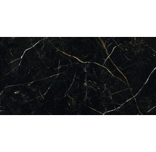 Wand- und Bodenfliese Royal Black 60x120cm poliert rektifiziert