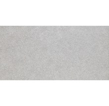 Feinsteinzeug Wand- und Bodenfliese Block hell grau 59,8x29,8cm rektifiziert