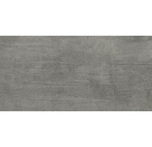 Bodenfliese Meissen Grava grau 29,8x59,8x0,8cm