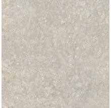 Wand- und Bodenfliese EkoStone bianco 60x60 cm R11