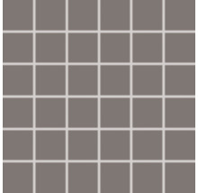 Feinsteinzeugmosaik Rako Taurus Color grau, 30x30cm, Steingröße 5x5cm