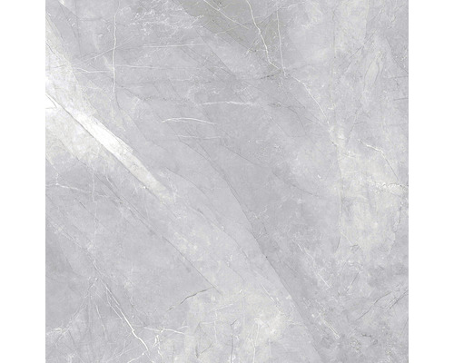 Wand- und Bodenfliese Pulpis Grey 60X60cm poliert, rektifiziert