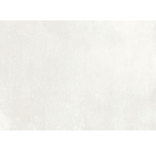 Wand- und Bodenfliese ASHY Offwhite 60x120x0,65cm, matt