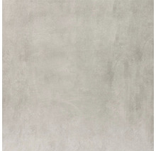 Wand- und Bodenfliese Cemento taupe 61,5x61,5x0,85cm
