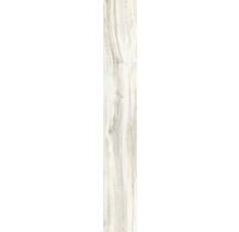 Wand- und Bodenfliese Aretino ivory 23,4x148cm rektifiziert